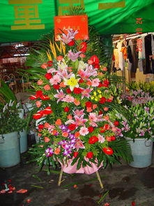 綻放的藝術 一站式鮮花綠植服務與展臺設計搭建解決方案