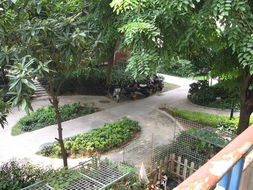 廈門吉利園 匠心獨運，盆景藝術點亮花卉世界